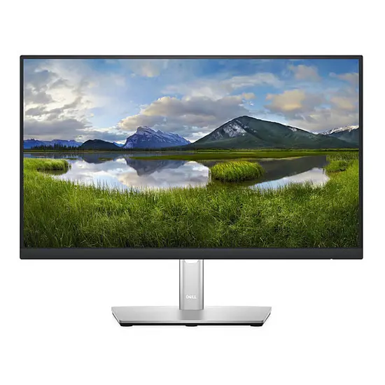 Dell Ecran P2222HB