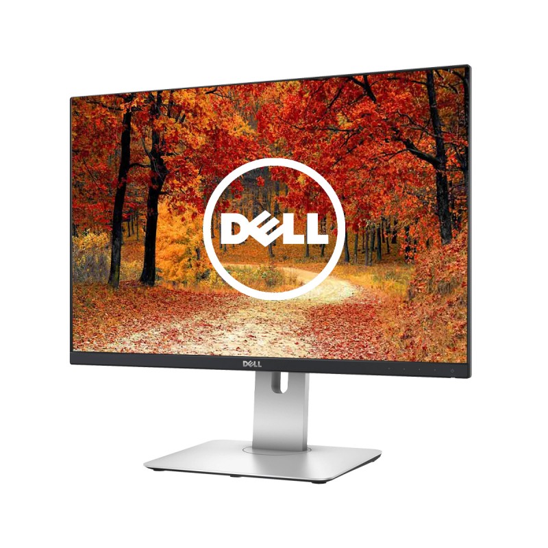 Dell Ecran U2415b