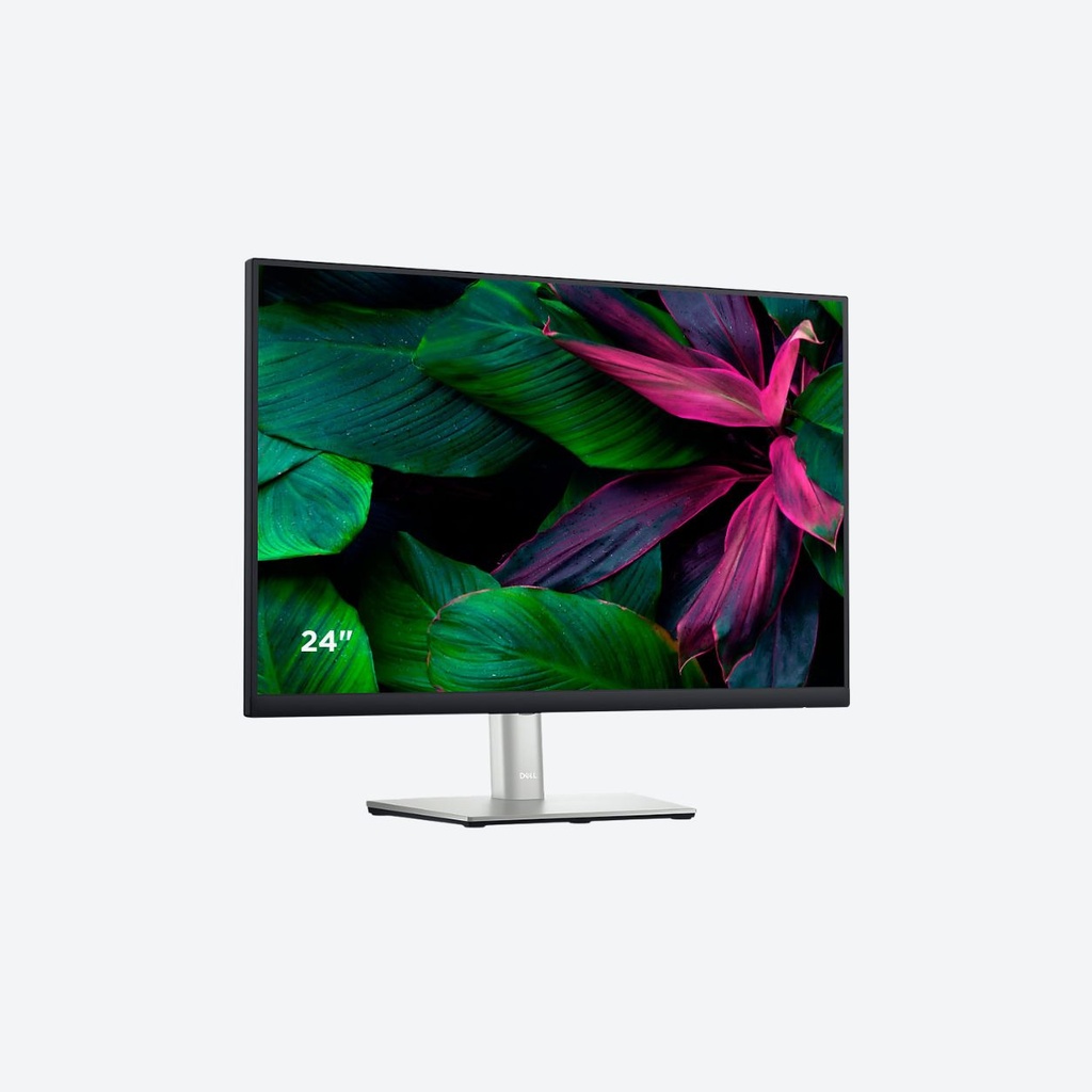 Dell Ecran P2423DEc