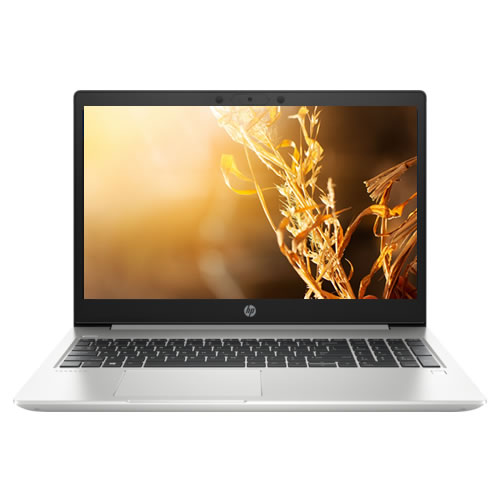 HP ProBook 455 G7